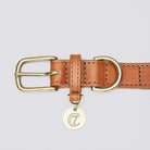 Dog Collar Hyde Park - Cognac Dog Collar Cloud7 