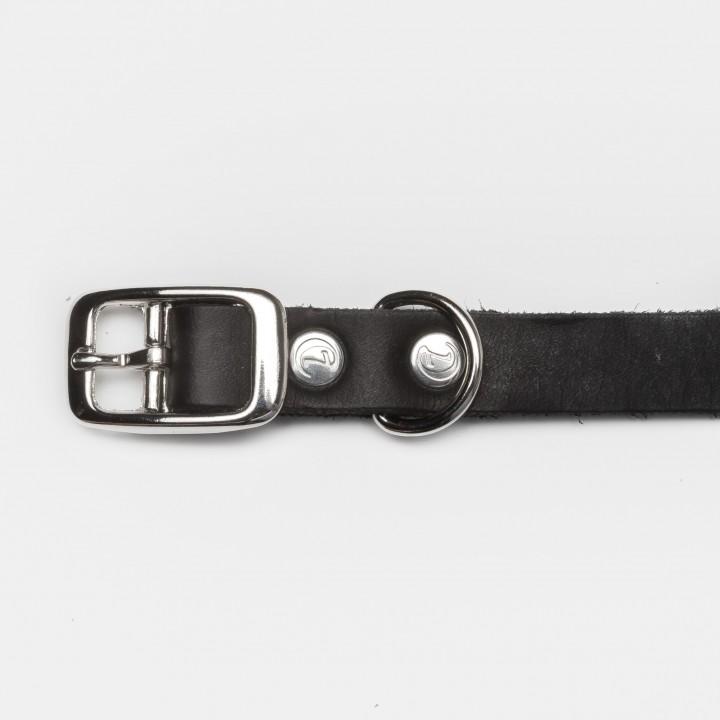 Dog Collar Riverside Park - Black Dog Collar Cloud7 