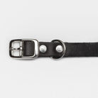 Dog Collar Riverside Park - Black Dog Collar Cloud7 