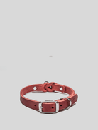 Dog Collar Riverside Park - Merlot Dog Collar Cloud7 