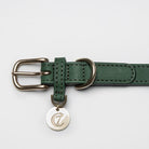 Dog Collar Tiergarten Park - Green Dog Collar Cloud7 