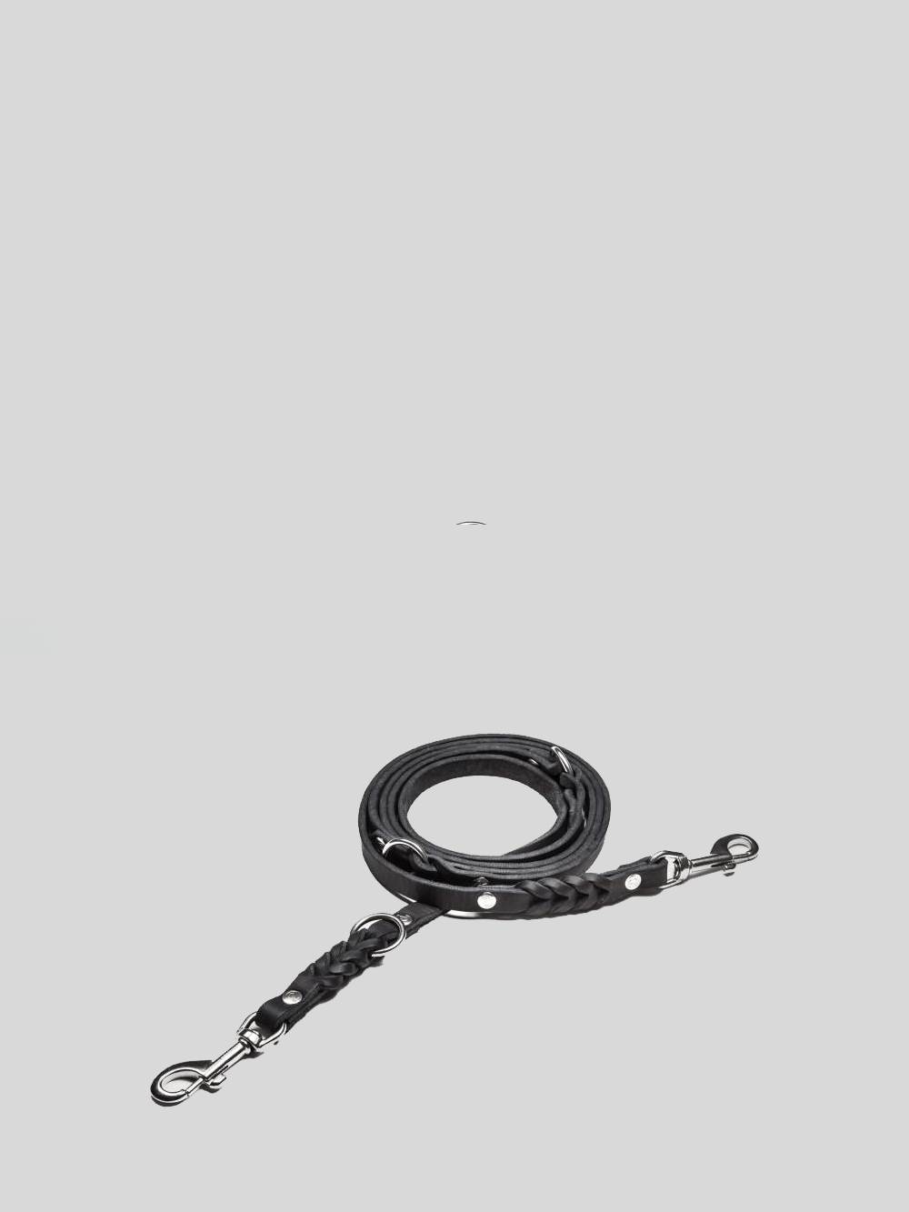 Dog Leash - Riverside Park Black Dog Leash Cloud7 