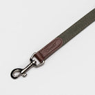 Dog Leash - Tivoli Olive Dog Leash Cloud7 