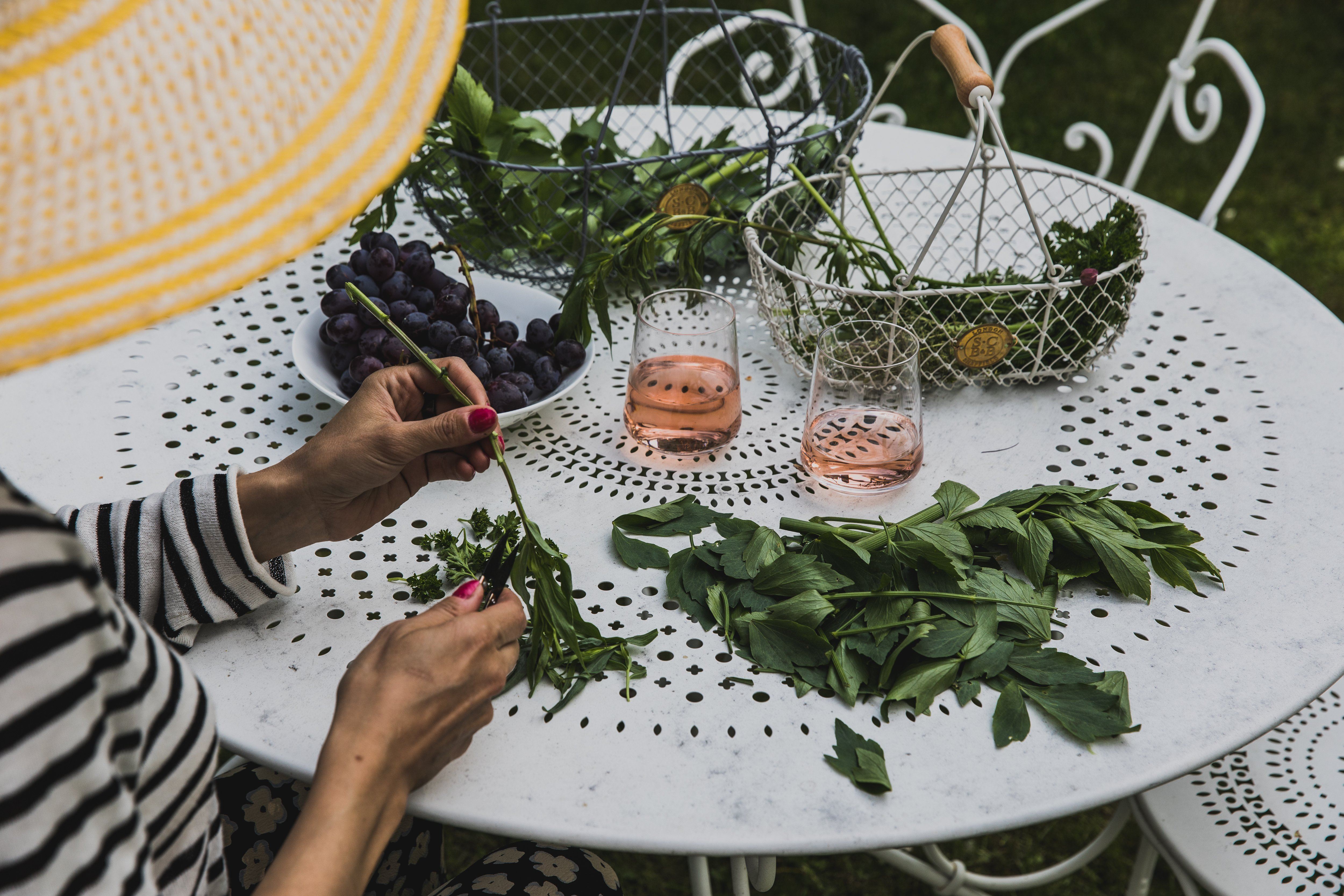 Mini Snip Garden Tool Burgon & Ball 