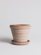 Neptune - Terracotta Pottery Bergs Potter 