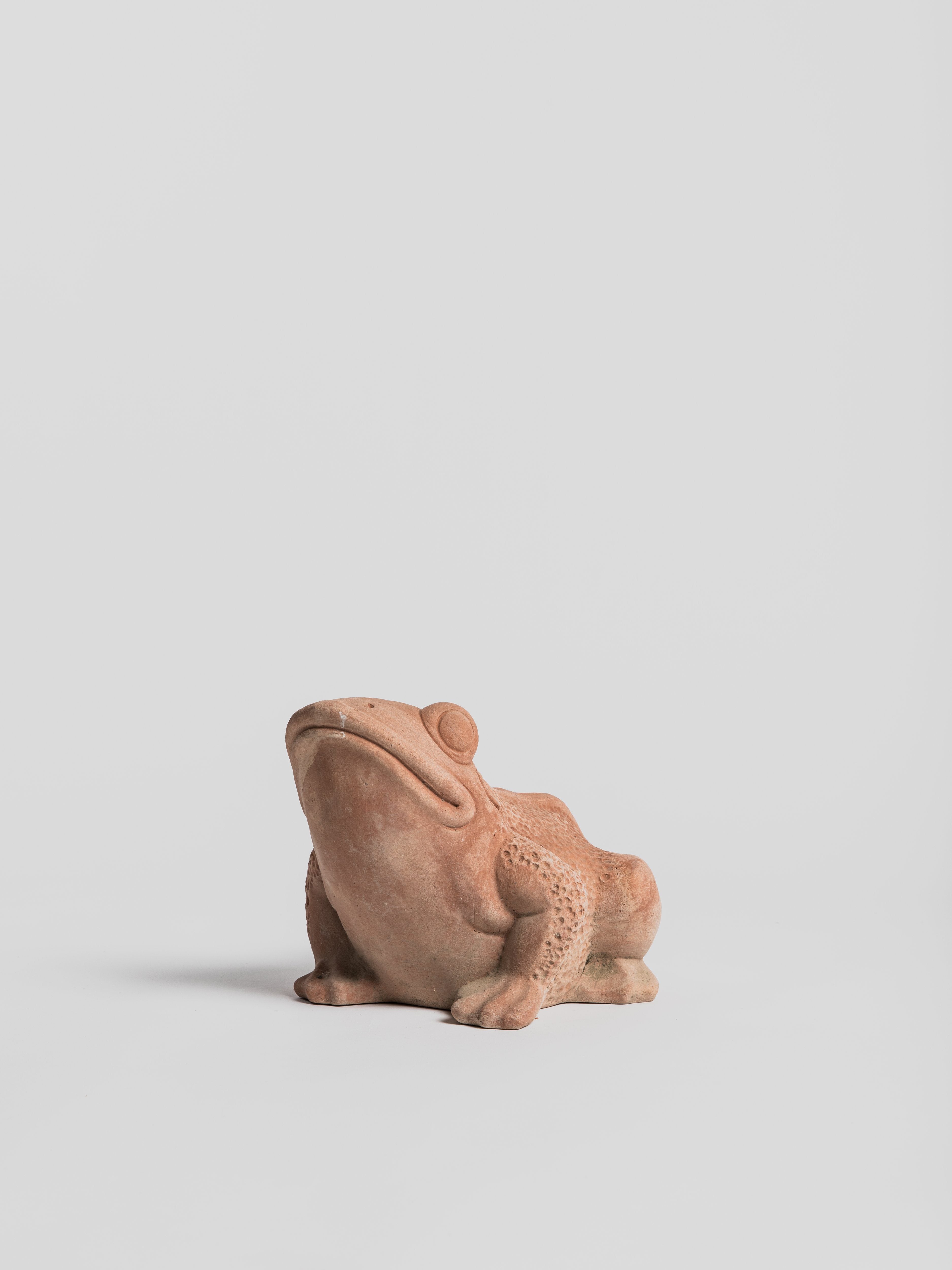 Rana Grande - Large Frog Pot M.I.T.A.L 